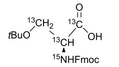CCN3001P01