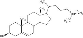 CC527P01