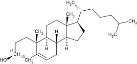 CC529P01