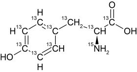 CCN4202P