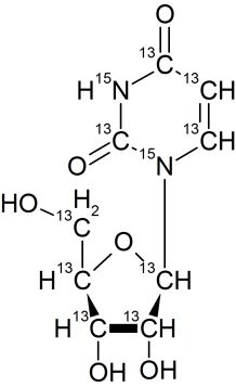 CCN6235P