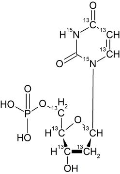 CCN6255P0025