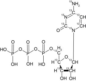 CCN6305P0025