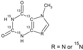 CCN6351P