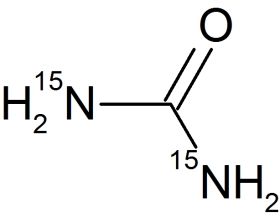 CN4515P1