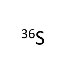 M-S36