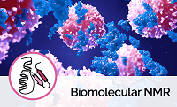 Biomolecular NMR